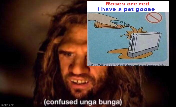 WHAT THE FRICK | image tagged in confused unga bunga | made w/ Imgflip meme maker