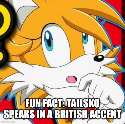 FUN FACT: TAILSKO SPEAKS IN A BRITISH ACCENT | image tagged in tailsko | made w/ Imgflip meme maker