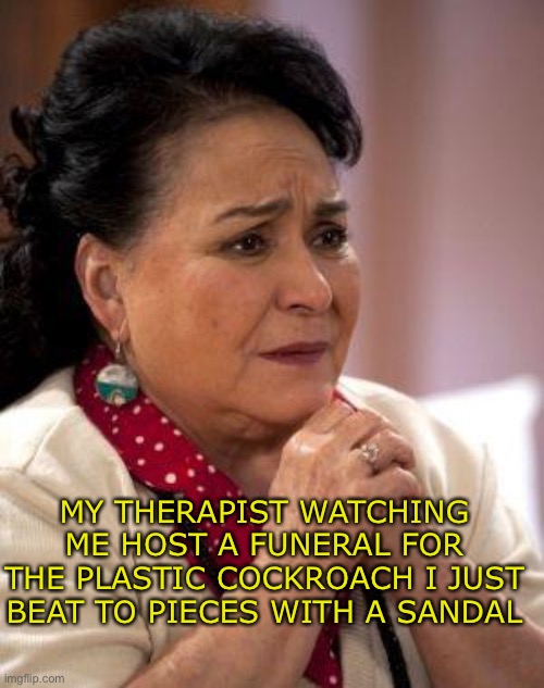 carmen salinas rezando | MY THERAPIST WATCHING ME HOST A FUNERAL FOR THE PLASTIC COCKROACH I JUST BEAT TO PIECES WITH A SANDAL | image tagged in carmen salinas rezando,cockroaches,therapist,concerned | made w/ Imgflip meme maker