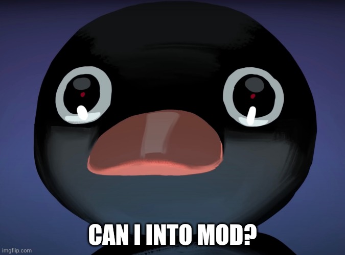 Please | CAN I INTO MOD? | image tagged in pingu stare | made w/ Imgflip meme maker