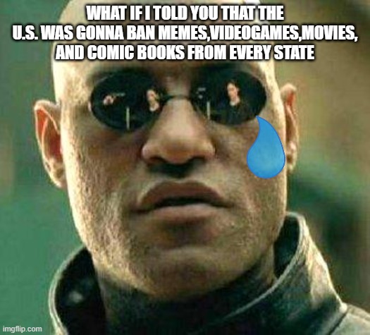 NOOOOOO | WHAT IF I TOLD YOU THAT THE U.S. WAS GONNA BAN MEMES,VIDEOGAMES,MOVIES, AND COMIC BOOKS FROM EVERY STATE | image tagged in what if i told you | made w/ Imgflip meme maker