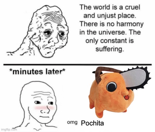 The only constant is suffering | Pochita | image tagged in minutes later omg | made w/ Imgflip meme maker