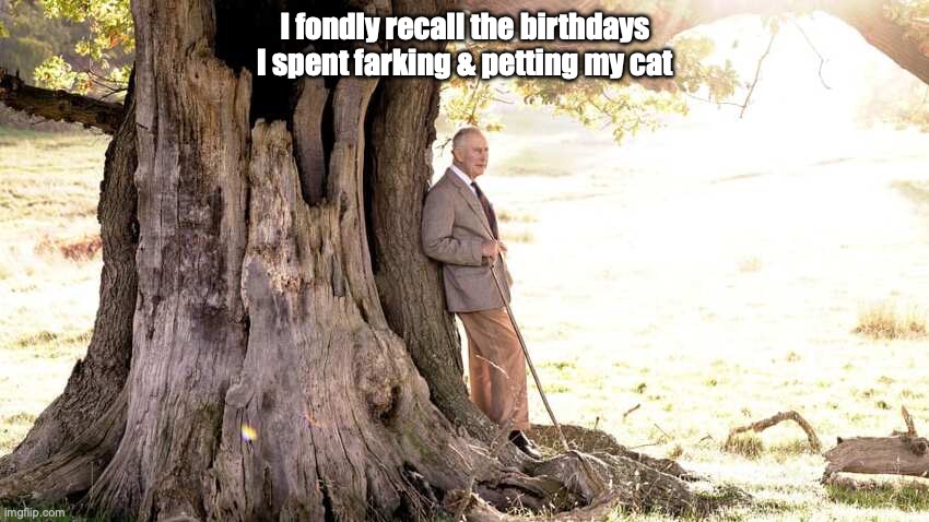 I fondly recall the birthdays I spent farking & petting my cat | made w/ Imgflip meme maker