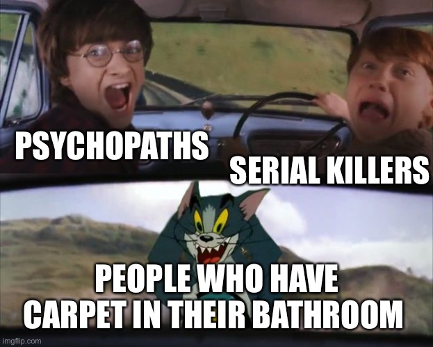 Bathroom carpet | SERIAL KILLERS; PSYCHOPATHS; PEOPLE WHO HAVE CARPET IN THEIR BATHROOM | image tagged in tom and harry potter,psychopaths and serial killers,psychopath,serial killer | made w/ Imgflip meme maker