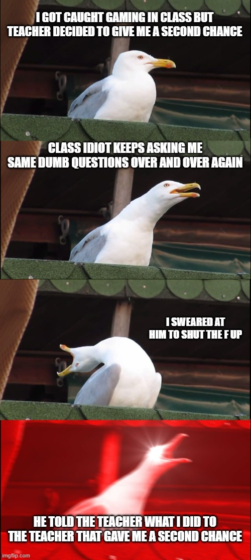 Inhaling Seagull | I GOT CAUGHT GAMING IN CLASS BUT TEACHER DECIDED TO GIVE ME A SECOND CHANCE; CLASS IDIOT KEEPS ASKING ME SAME DUMB QUESTIONS OVER AND OVER AGAIN; I SWEARED AT HIM TO SHUT THE F UP; HE TOLD THE TEACHER WHAT I DID TO THE TEACHER THAT GAVE ME A SECOND CHANCE | image tagged in memes,inhaling seagull | made w/ Imgflip meme maker