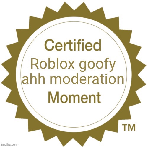 Certified Roblox goofy ahh moderation moment | image tagged in certified roblox goofy ahh moderation moment | made w/ Imgflip meme maker