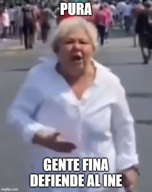 PURA; GENTE FINA DEFIENDE AL INE | made w/ Imgflip meme maker