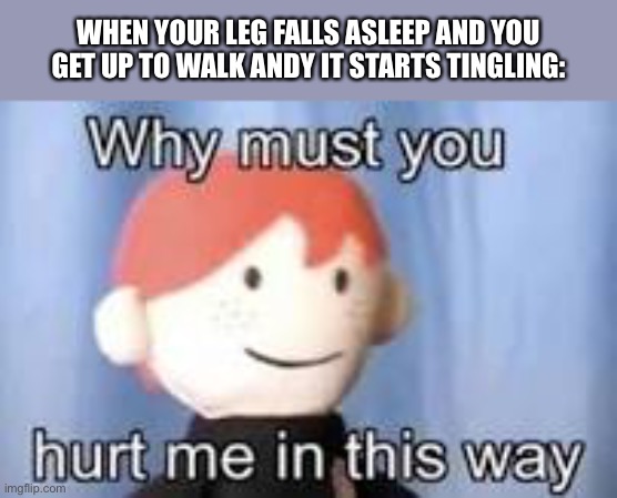 I hate this | WHEN YOUR LEG FALLS ASLEEP AND YOU GET UP TO WALK ANDY IT STARTS TINGLING: | image tagged in why must you hurt me in this way | made w/ Imgflip meme maker