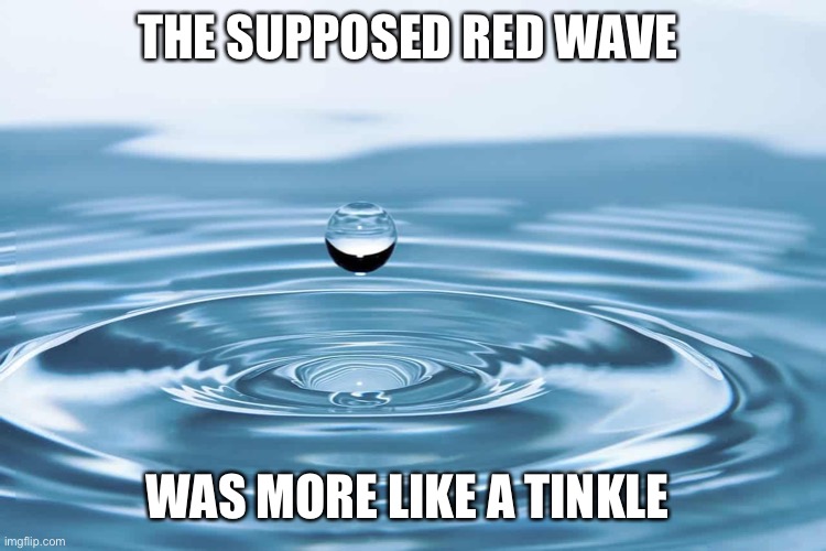 Red tinkle | THE SUPPOSED RED WAVE; WAS MORE LIKE A TINKLE | image tagged in water drop | made w/ Imgflip meme maker