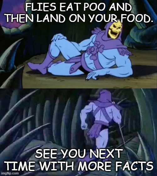 Skeletor disturbing facts is back | FLIES EAT POO AND THEN LAND ON YOUR FOOD. SEE YOU NEXT TIME WITH MORE FACTS | image tagged in skeletor disturbing facts | made w/ Imgflip meme maker