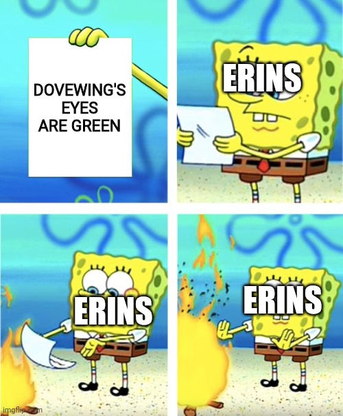 Dovewing's eyes are green | ERINS; DOVEWING'S EYES ARE GREEN; ERINS; ERINS | image tagged in spongebob burning paper | made w/ Imgflip meme maker