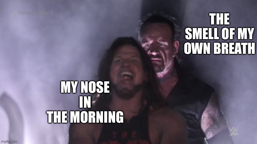 AJ Styles & Undertaker | MY NOSE IN THE MORNING THE SMELL OF MY OWN BREATH | image tagged in aj styles undertaker | made w/ Imgflip meme maker