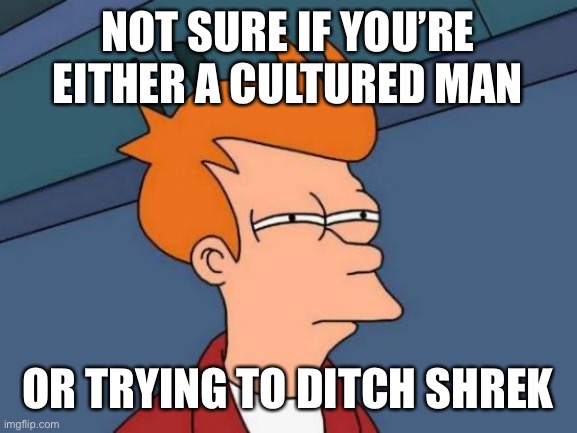 Futurama Fry Meme | NOT SURE IF YOU’RE EITHER A CULTURED MAN OR TRYING TO DITCH SHREK | image tagged in memes,futurama fry | made w/ Imgflip meme maker