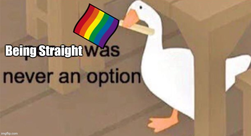 Being straight was never an option | image tagged in being straight was never an option | made w/ Imgflip meme maker