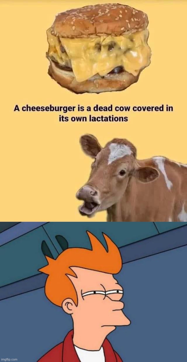 image tagged in a cheeseburger is a dead cow,memes,futurama fry | made w/ Imgflip meme maker