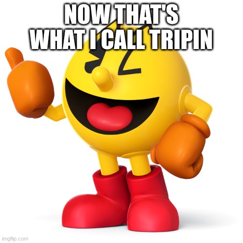Pac man  | NOW THAT'S WHAT I CALL TRIPIN | image tagged in pac man | made w/ Imgflip meme maker