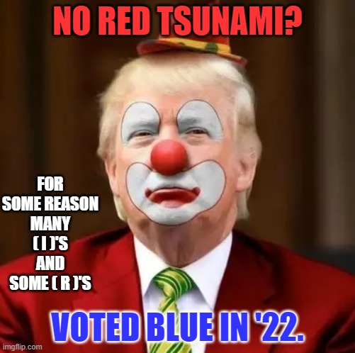 Why?  Your guess is as good as mine! | NO RED TSUNAMI? FOR SOME REASON MANY ( I )'S AND SOME ( R )'S; VOTED BLUE IN '22. | image tagged in donald trump clown | made w/ Imgflip meme maker