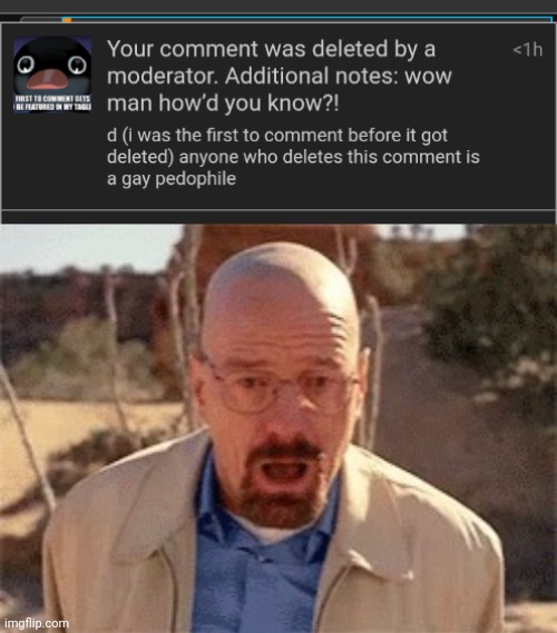 who tf is abusing mod | image tagged in walter white | made w/ Imgflip meme maker