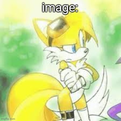 image: | image tagged in tailsko | made w/ Imgflip meme maker