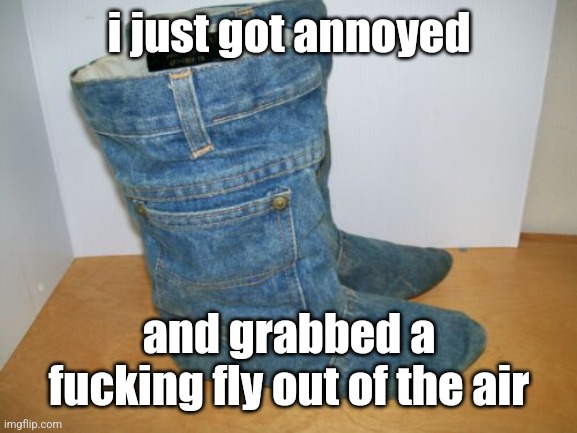 joots | i just got annoyed; and grabbed a fucking fly out of the air | image tagged in joots | made w/ Imgflip meme maker