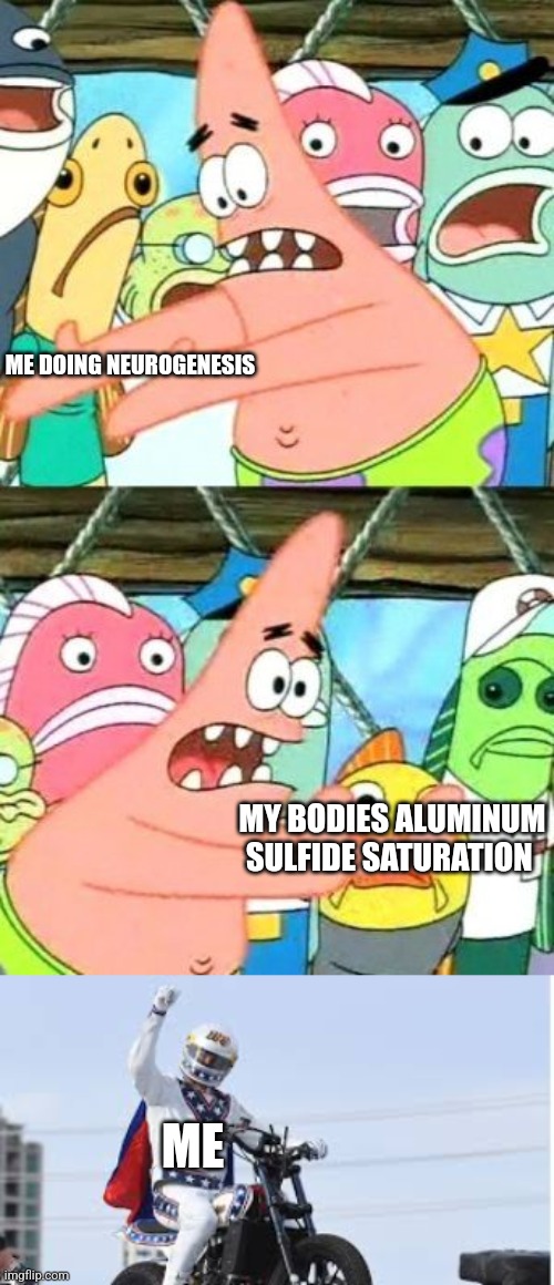ME DOING NEUROGENESIS; MY BODIES ALUMINUM SULFIDE SATURATION; ME | image tagged in memes,put it somewhere else patrick | made w/ Imgflip meme maker