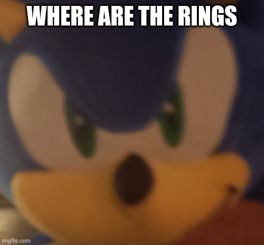 Sonic demands | WHERE ARE THE RINGS | image tagged in sonic the hedgehog,sonic,rings,memes,funny | made w/ Imgflip meme maker
