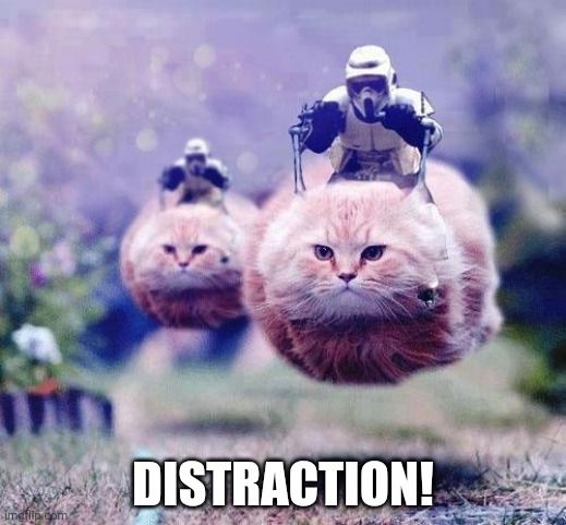 Storm Trooper Cats | DISTRACTION! | image tagged in storm trooper cats | made w/ Imgflip meme maker