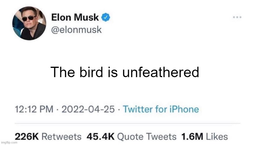 Elon Musk Buying Twitter | The bird is unfeathered | image tagged in elon musk buying twitter | made w/ Imgflip meme maker