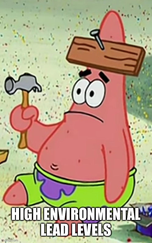 Dumb Patrick | HIGH ENVIRONMENTAL LEAD LEVELS | image tagged in dumb patrick,lead,poison | made w/ Imgflip meme maker