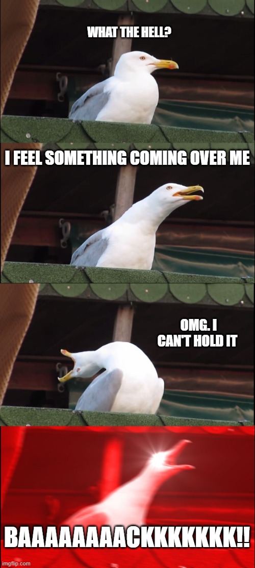 Herring gull with Tourette's | WHAT THE HELL? I FEEL SOMETHING COMING OVER ME; OMG. I CAN'T HOLD IT; BAAAAAAAACKKKKKKK!! | image tagged in memes,inhaling seagull | made w/ Imgflip meme maker