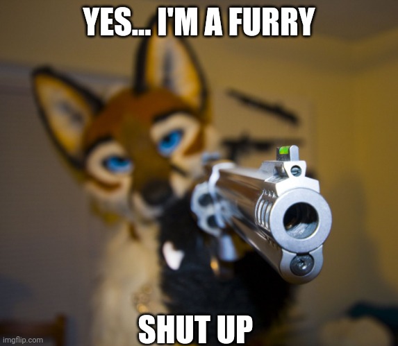 Yes... I'm a furry | YES... I'M A FURRY; SHUT UP | image tagged in furry with gun | made w/ Imgflip meme maker