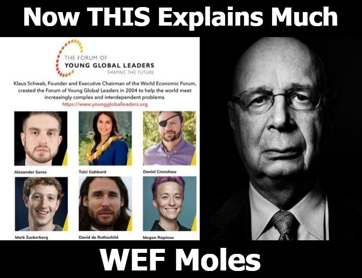 WEF Moles | image tagged in wef,world economic forum,klaus schwab,tulsi gabbard,daniel crenshaw,sellouts | made w/ Imgflip meme maker