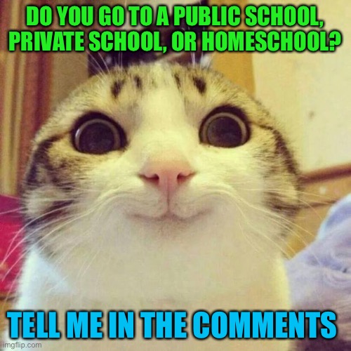 Smiling Cat | DO YOU GO TO A PUBLIC SCHOOL, PRIVATE SCHOOL, OR HOMESCHOOL? TELL ME IN THE COMMENTS | image tagged in memes,smiling cat | made w/ Imgflip meme maker
