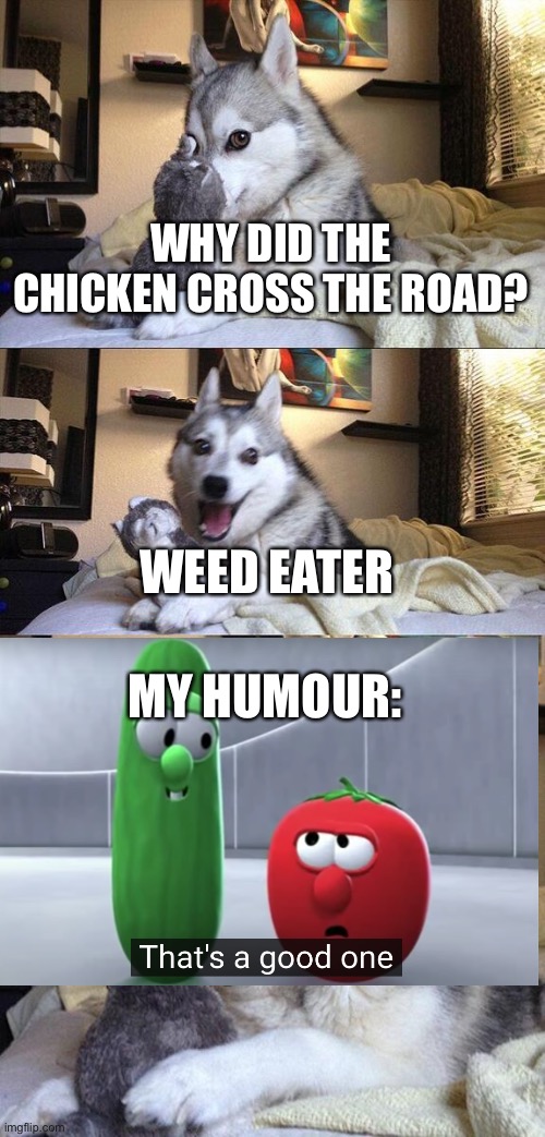 I actually laughed at the video | WHY DID THE CHICKEN CROSS THE ROAD? WEED EATER; MY HUMOUR: | image tagged in memes,bad pun dog | made w/ Imgflip meme maker