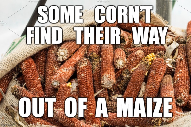 Retro TP | SOME   CORN’T 
FIND   THEIR   WAY; OUT  OF  A  MAIZE | image tagged in retro tp | made w/ Imgflip meme maker