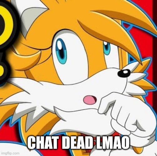 CHAT DEAD LMAO | image tagged in tailsko | made w/ Imgflip meme maker