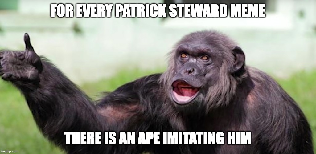 patrick steward ape | FOR EVERY PATRICK STEWARD MEME; THERE IS AN APE IMITATING HIM | image tagged in patrick stewart | made w/ Imgflip meme maker