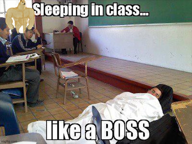 sleeping in class like a boss | image tagged in class | made w/ Imgflip meme maker