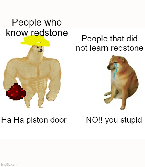 Not Everybody Know's Things | People who know redstone; People that did not learn redstone; Ha Ha piston door; NO!! you stupid | image tagged in memes,minecraft | made w/ Imgflip meme maker