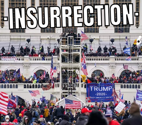 INSURRECTION | ·INSURRECTION· | made w/ Imgflip meme maker