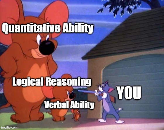 confusing which one easier | Quantitative Ability; Logical Reasoning; YOU; Verbal Ability | image tagged in tom and jerry elephant | made w/ Imgflip meme maker