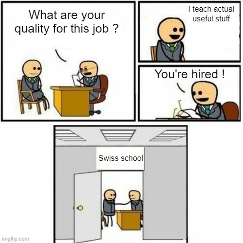 You're hired | What are your quality for this job ? I teach actual useful stuff You're hired ! Swiss school | image tagged in you're hired | made w/ Imgflip meme maker