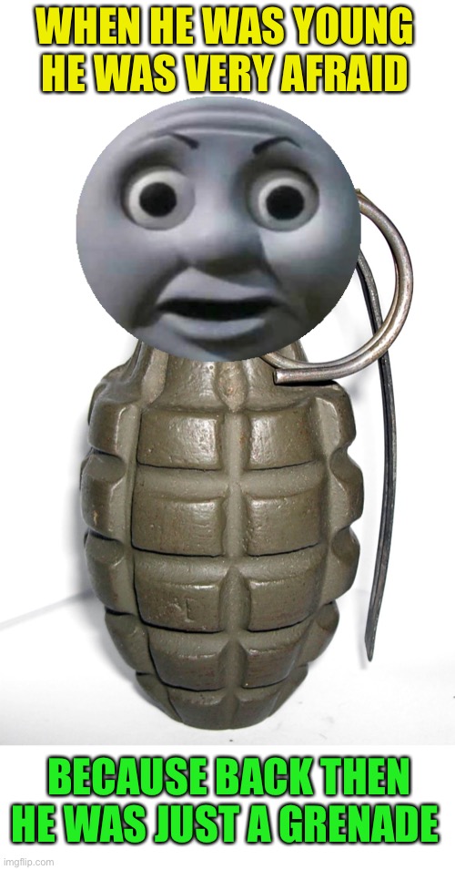grenade | WHEN HE WAS YOUNG 
HE WAS VERY AFRAID BECAUSE BACK THEN
HE WAS JUST A GRENADE | image tagged in grenade | made w/ Imgflip meme maker