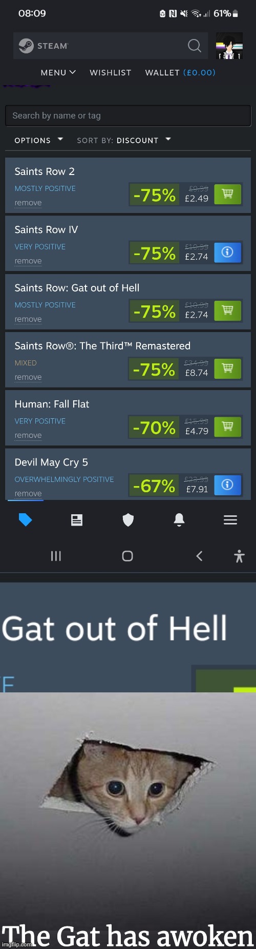 Also, yea. That is my Steam wishlist (used mobile) | The Gat has awoken | image tagged in memes,ceiling cat | made w/ Imgflip meme maker