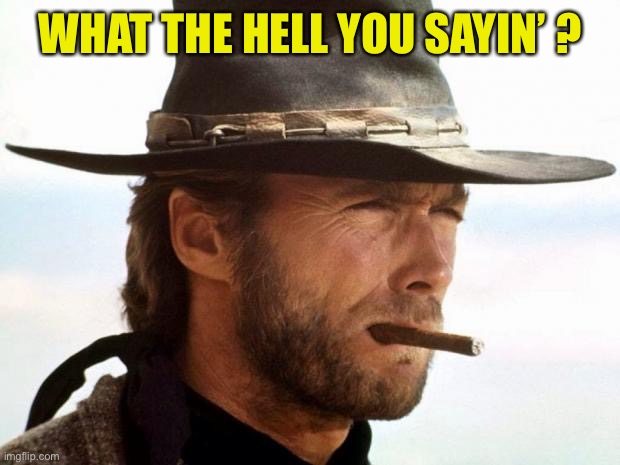 Clint Eastwood  | WHAT THE HELL YOU SAYIN’ ? | image tagged in clint eastwood | made w/ Imgflip meme maker