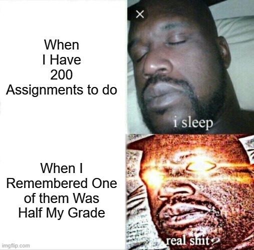 Sleeping Shaq Meme | When I Have 200 Assignments to do; When I Remembered One of them Was Half My Grade | image tagged in memes,sleeping shaq | made w/ Imgflip meme maker