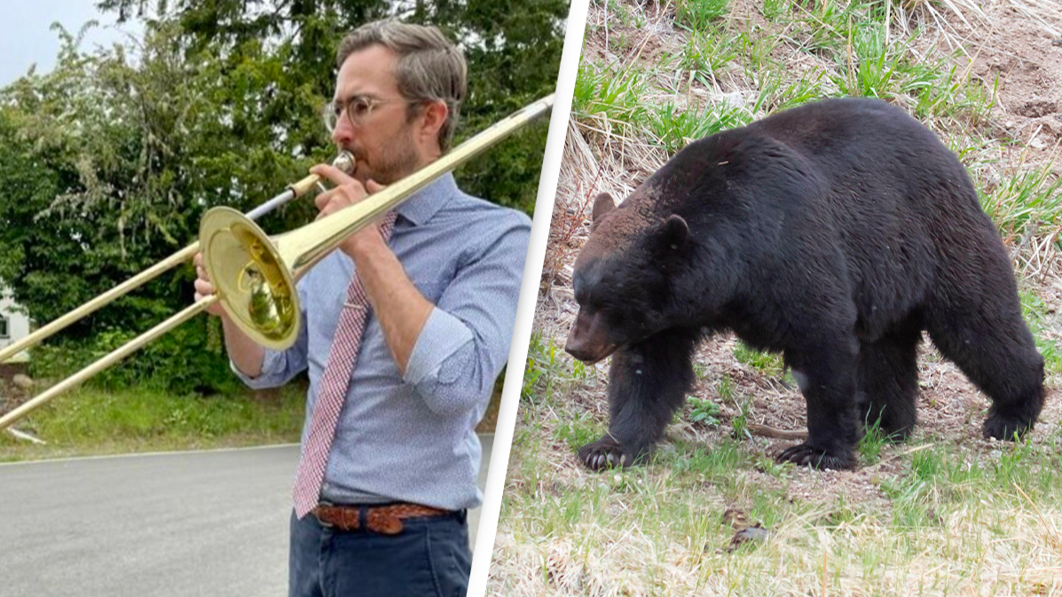 Music and the Bear Blank Meme Template