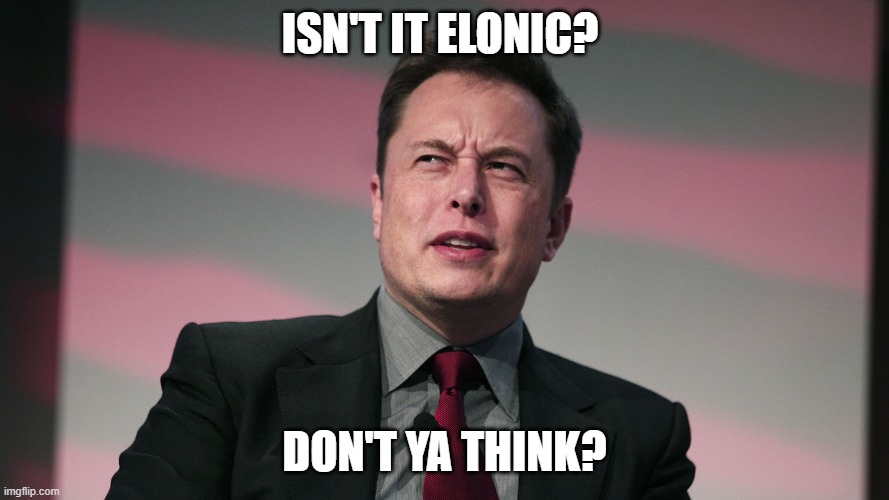 Isn't it Elonic? | ISN'T IT ELONIC? DON'T YA THINK? | image tagged in confused elon musk | made w/ Imgflip meme maker