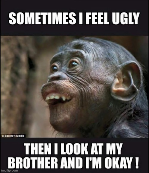 image tagged in repost | made w/ Imgflip meme maker