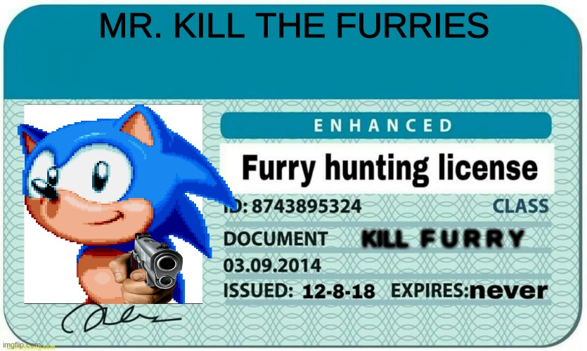 K I L L  T H E  F U R R I E S | MR. KILL THE FURRIES; KILL  F U R R Y | image tagged in furry hunting license | made w/ Imgflip meme maker